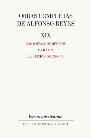Cover of the book Obras completas, XIX by Carlos Chimal