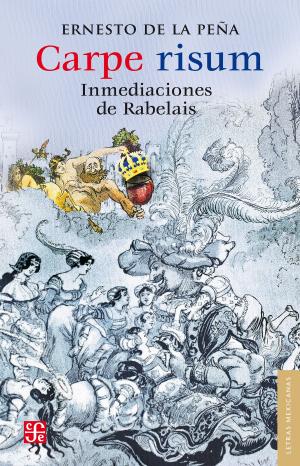 Cover of the book Carpe risum by Ramón López Velarde