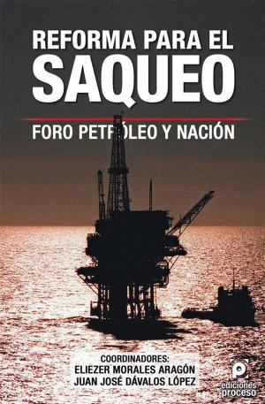 Book cover of Reforma para el saqueo