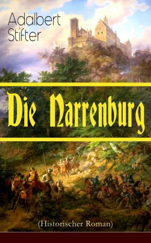Cover of the book Die Narrenburg (Historischer Roman) by Konrad Falke