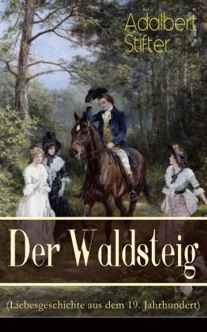 Cover of the book Der Waldsteig (Liebesgeschichte aus dem 19. Jahrhundert) by Gotthold Ephraim Lessing