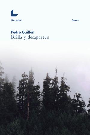 Cover of the book Brilla y desaparece by Estela Alcaide