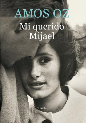 Cover of the book Mi querido Mijael by Nathaniel Hawthorne
