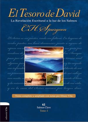 Book cover of El Tesoro de David: la revelación Escritural a la luz de los Salmos