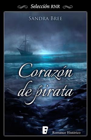 Book cover of Corazón de pirata