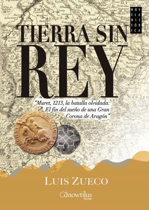 Book cover of Tierra sin rey