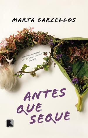 Cover of the book Antes que seque by Leticia Wierzchowski