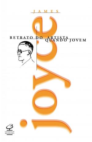 Book cover of Retrato do artista quando jovem