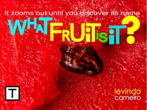 bigCover of the book What Fruit is it ? by 