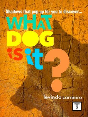 Book cover of What dog is it ?