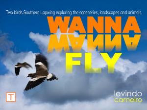 Cover of the book Wanna Wanna Fly by Levindo Carneiro