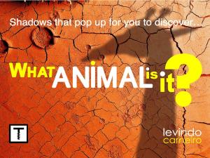 Cover of the book What Animal is it? by Levindo Carneiro