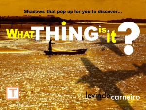 Cover of the book What thing is it? by Levindo Carneiro