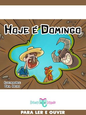 Cover of the book Hoje é Domingo by Bruno Biasetto