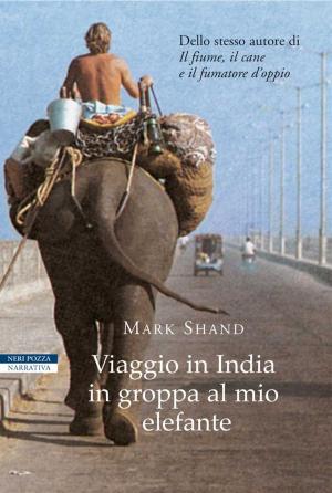 Cover of the book Viaggio in India in groppa al mio elefante by Aline Kiner