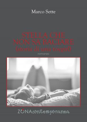 Cover of the book Stella che non sa baciare (storia di una toygirl) by Pamphile Lemay