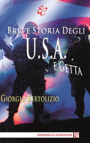 Cover of the book Breve storia degli U.S.A. e getta by Ferdinando Pastori