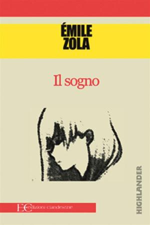 Cover of the book Il sogno by Paul Asensio, Iker Casanova