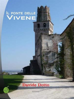 Book cover of Il ponte delle Vivene