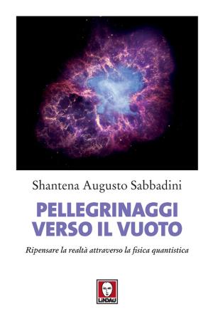 Cover of the book Pellegrinaggi verso il vuoto by Marina Pellanda