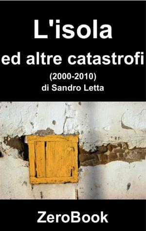 Cover of the book L'isola ed altre catastrofi by Marta F. Di Stefano