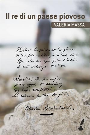 Cover of the book Il re di un paese piovoso by AA.VV.