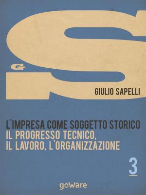 Cover of the book L’impresa come soggetto storico. Il progresso tecnico, il lavoro, l’organizzazione – Vol. 3 by Giulio Sapelli, Francesco Saverio Nitti