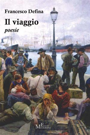 Book cover of Il viaggio