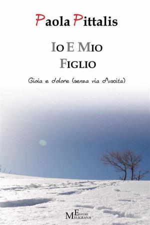 Cover of the book Io e mio figlio by Marco Crestani