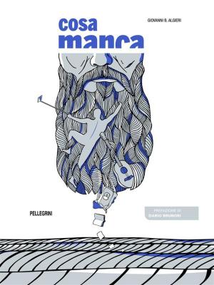 Cover of the book Cosa Manca by Alberto Di Nardi