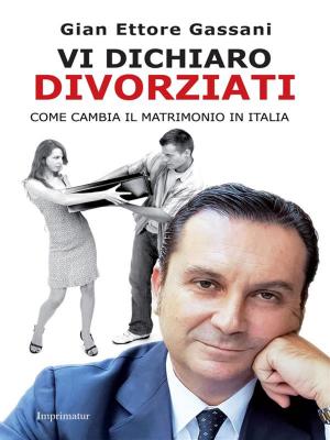 Cover of the book Vi dichiaro divorziati by Sabrina Pignedoli