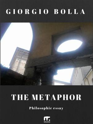 Cover of the book The metaphor by Ruggero Pesce