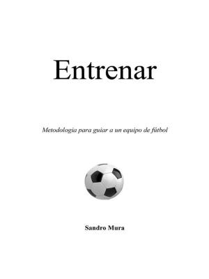 Cover of the book Entrenar. Metodologia para guiar a un equipo de fútbol by Marisa Giaroli