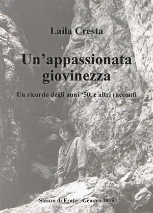 Cover of the book Un'appassionata giovinezza by Daniele Ingo