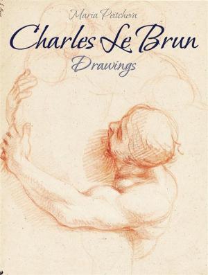 Book cover of Charles Le Brun:Drawings