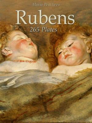 Book cover of Rubens: 265 Plates