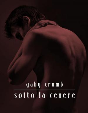 Book cover of Sotto la cenere