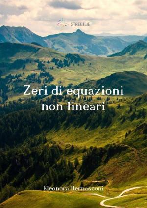 bigCover of the book Zeri di equazioni non lineari by 
