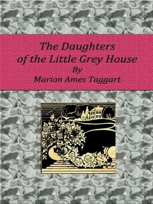 Cover of the book The Daughters of the Little Grey House by Washington Irving