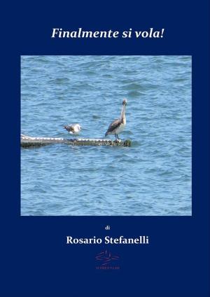 Cover of the book Finalmente si vola! by Rosario Stefanelli