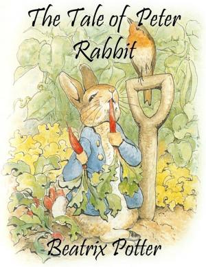 Cover of The Tale of Peter Rabbit (Noslen Classics)