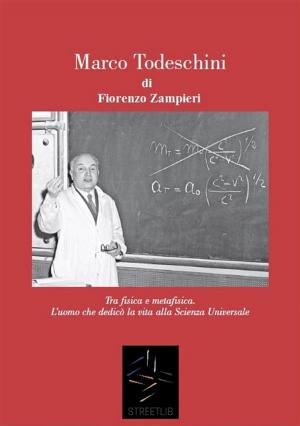 Cover of the book MARCO TODESCHINI - Tra Fisica e Metafisica by Dr. Robert Gange