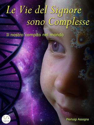Cover of the book Le Vie del Signore sono Complesse by Ava Asly
