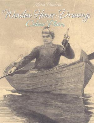 Cover of Winslow Homer: Drawings Colour Plates