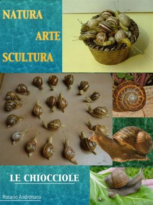 Cover of the book Natura Arte Scultura - Le Chiocciole by Rosario Andronaco