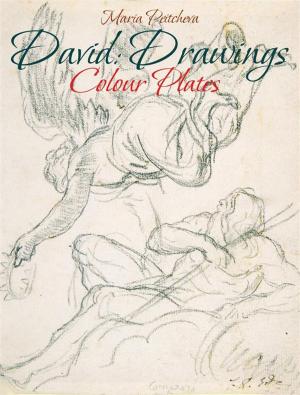 Cover of the book David: Drawings Colour Plates by Maria Peitcheva