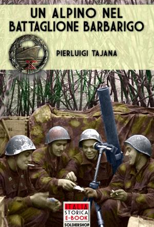 Book cover of Un Alpino nel Battaglione Barbarigo