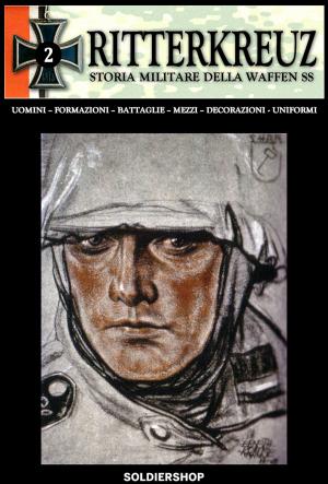 Cover of the book Ritterkreuz 2 by Anel Anivac