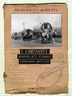 Cover of the book I caminanti by Roberta Oliverio