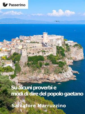 Cover of the book Su alcuni proverbi e modi di dire del popolo gaetano by Passerino Editore